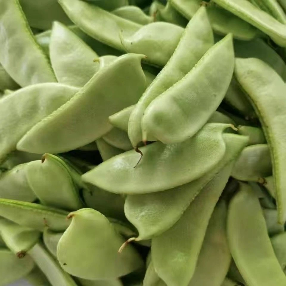 新鲜扁豆角眉豆梅豆茶豆架豆猪耳朵豆蔬菜新鲜现摘肉扁豆贵州特产