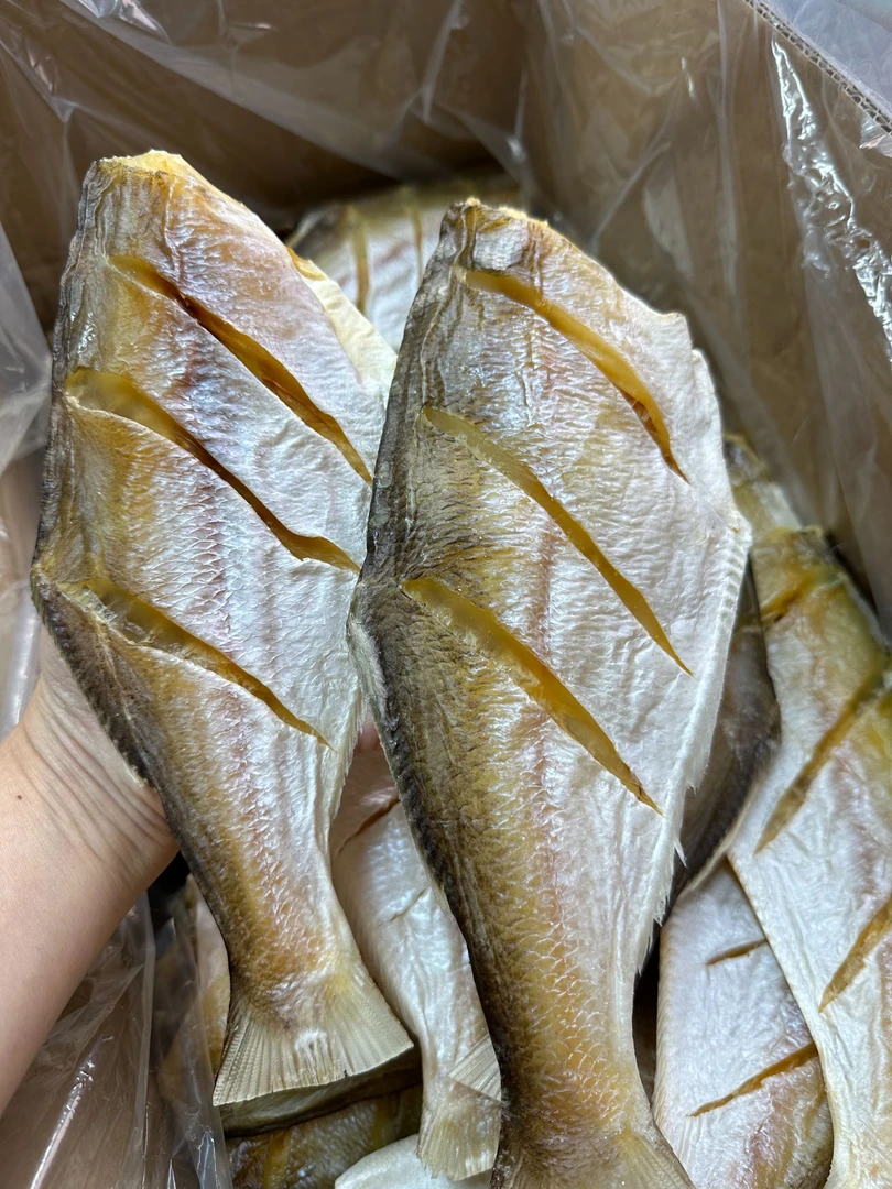 湛江渔民自晒马友鱼干 午鱼干 煎蒸焖煮