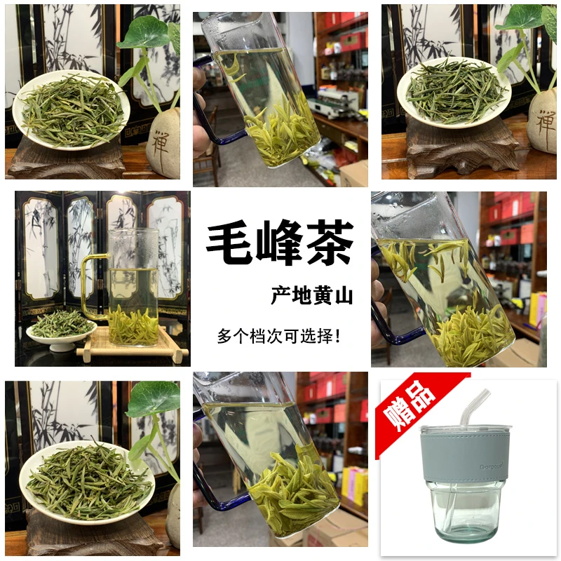 2024新茶安徽黄山茶叶高山毛峰绿茶叶散装
