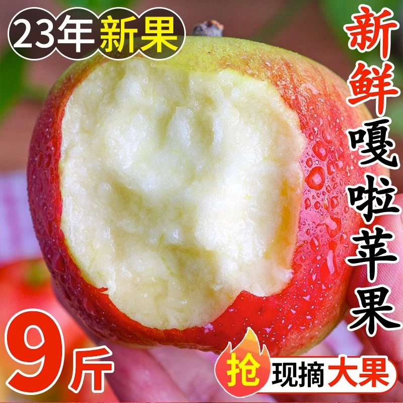 【2023头茬现摘】陕西正宗脆甜多汁嘎啦早熟苹果3斤5斤8斤新鲜水果