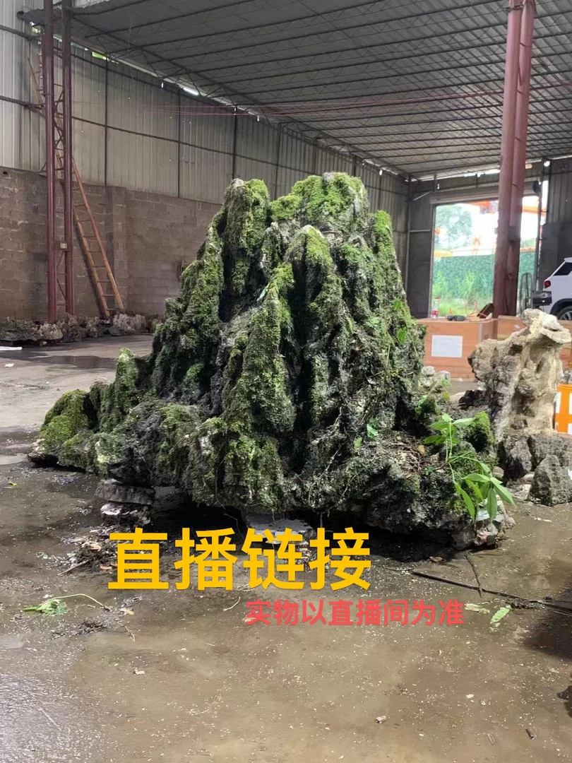 龟纹石 鱼缸 水旱盆 造景主二M