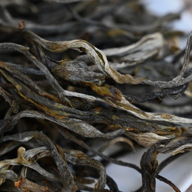 【洱与茶妃】2021年五百年特大古树生茶50克/1kg包邮