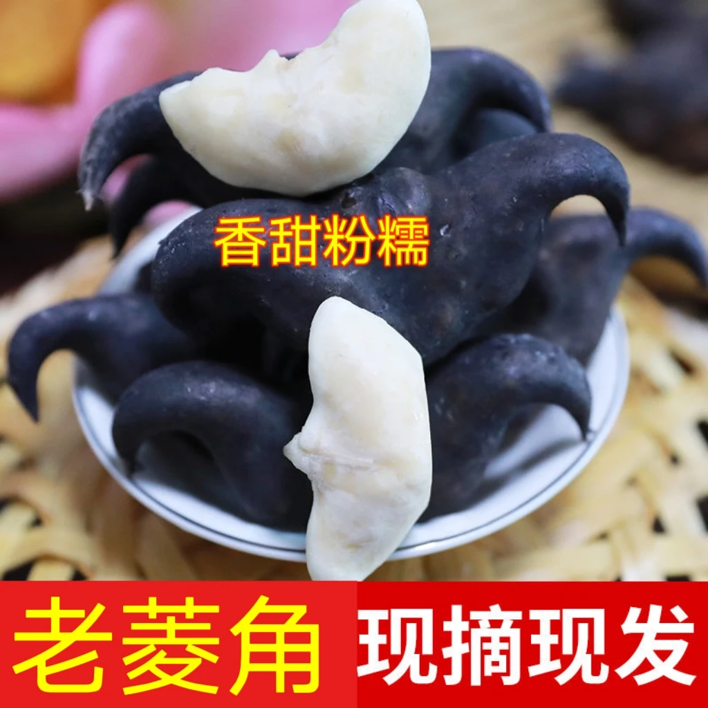 【湖北特产】农家自种新鲜老菱角粉糯老菱角现摘现发1斤/3斤/5斤