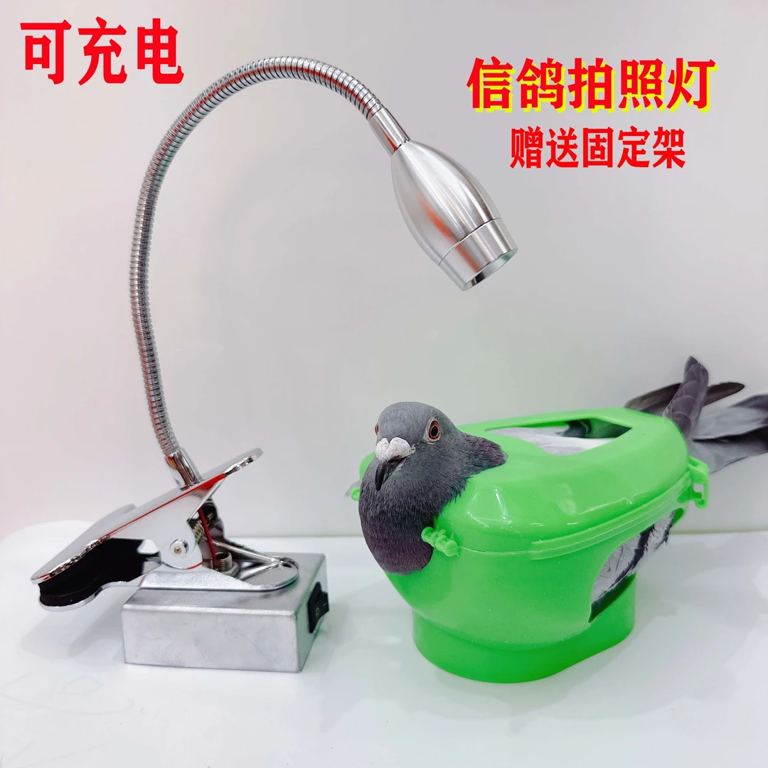 专用拍鸽子眼灯可充电信鸽拍摄神器鸽眼拍照强光灯看赛鸽眼砂鸽镜