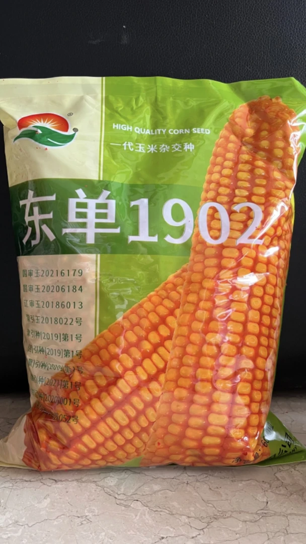 氮肥增产（东单1902）玉米凤妹小店 双国审抗旱耐涝抗倒氮磷钾