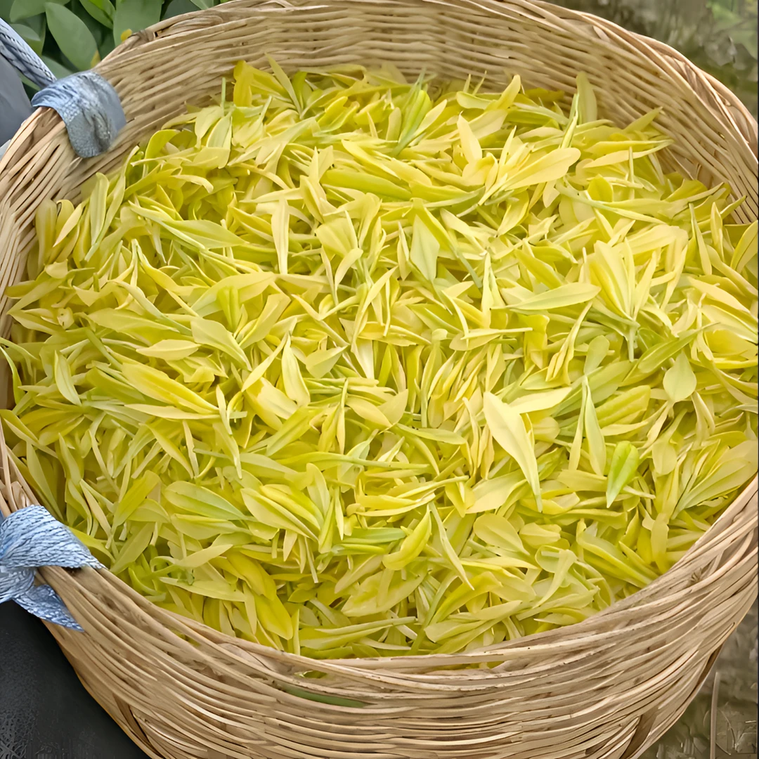 心儒2025新茶黄金芽茶叶特级安吉奶白茶明前绿茶春茶散装礼盒装