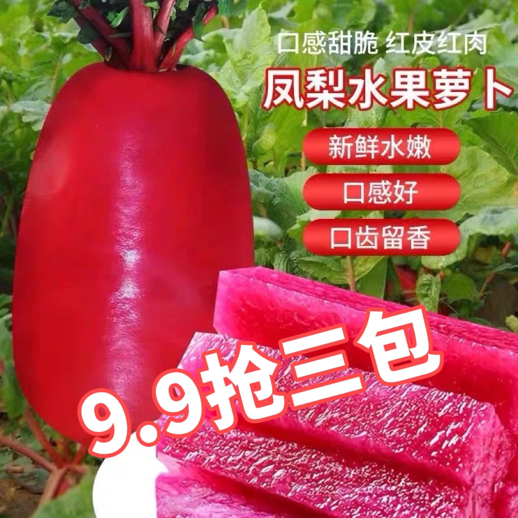 凤梨红心水果萝卜种子红皮甜脆鲜嫩种植高产生吃四季播蔬菜籽紫色