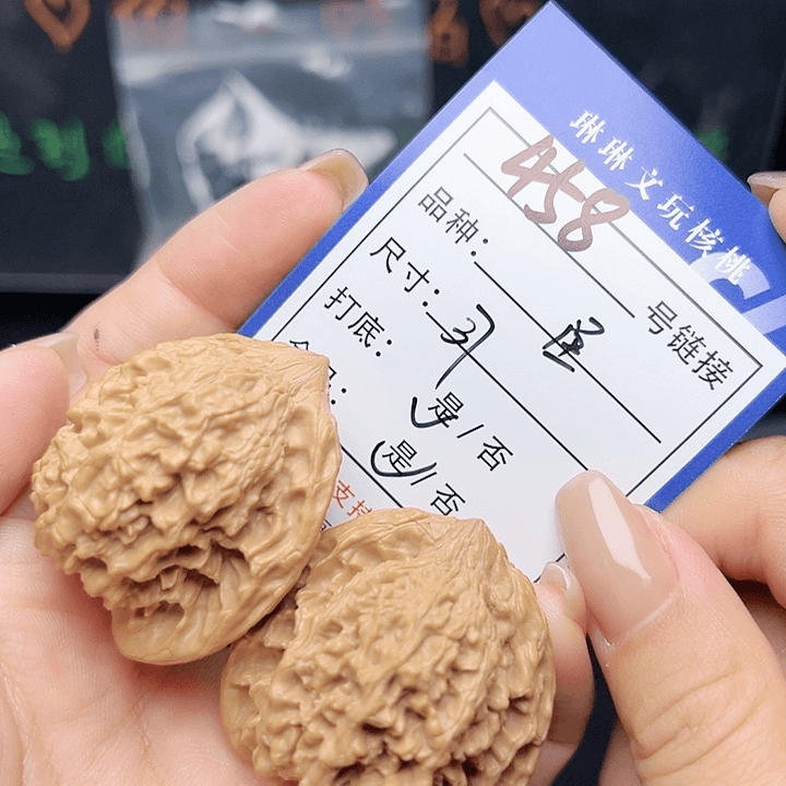 核桃树等经济作物种植458