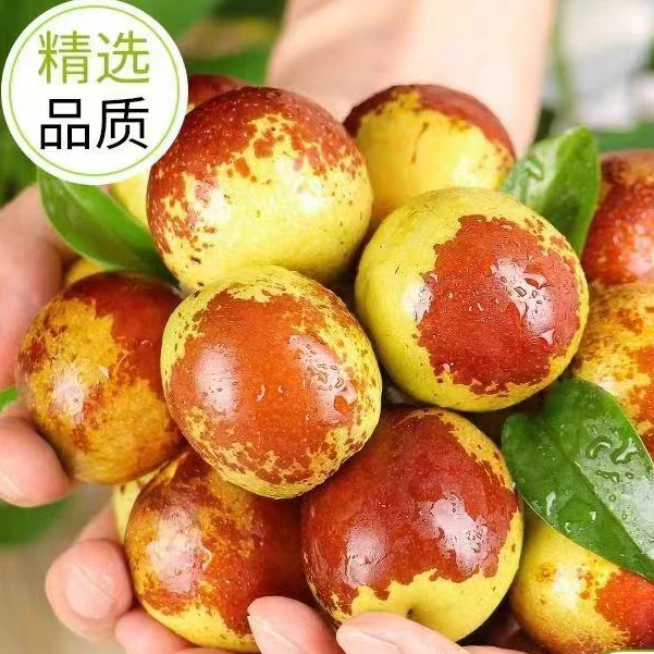 新疆特产库尔勒牛奶冬枣2斤/3斤新鲜应季水果脆甜多汁新鲜大枣