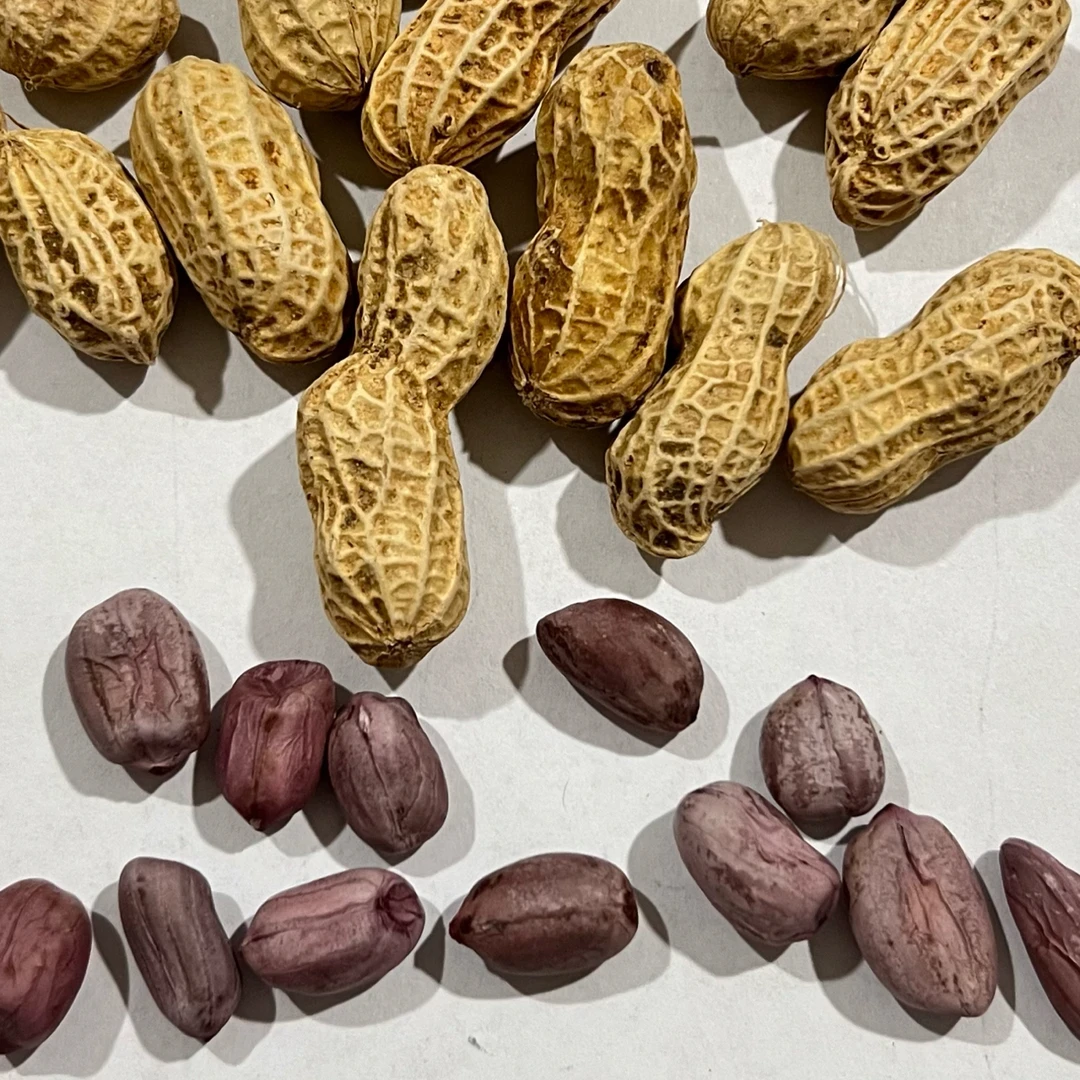 解馋办公室零食传统白晒紫衣花生2.5kg/袋