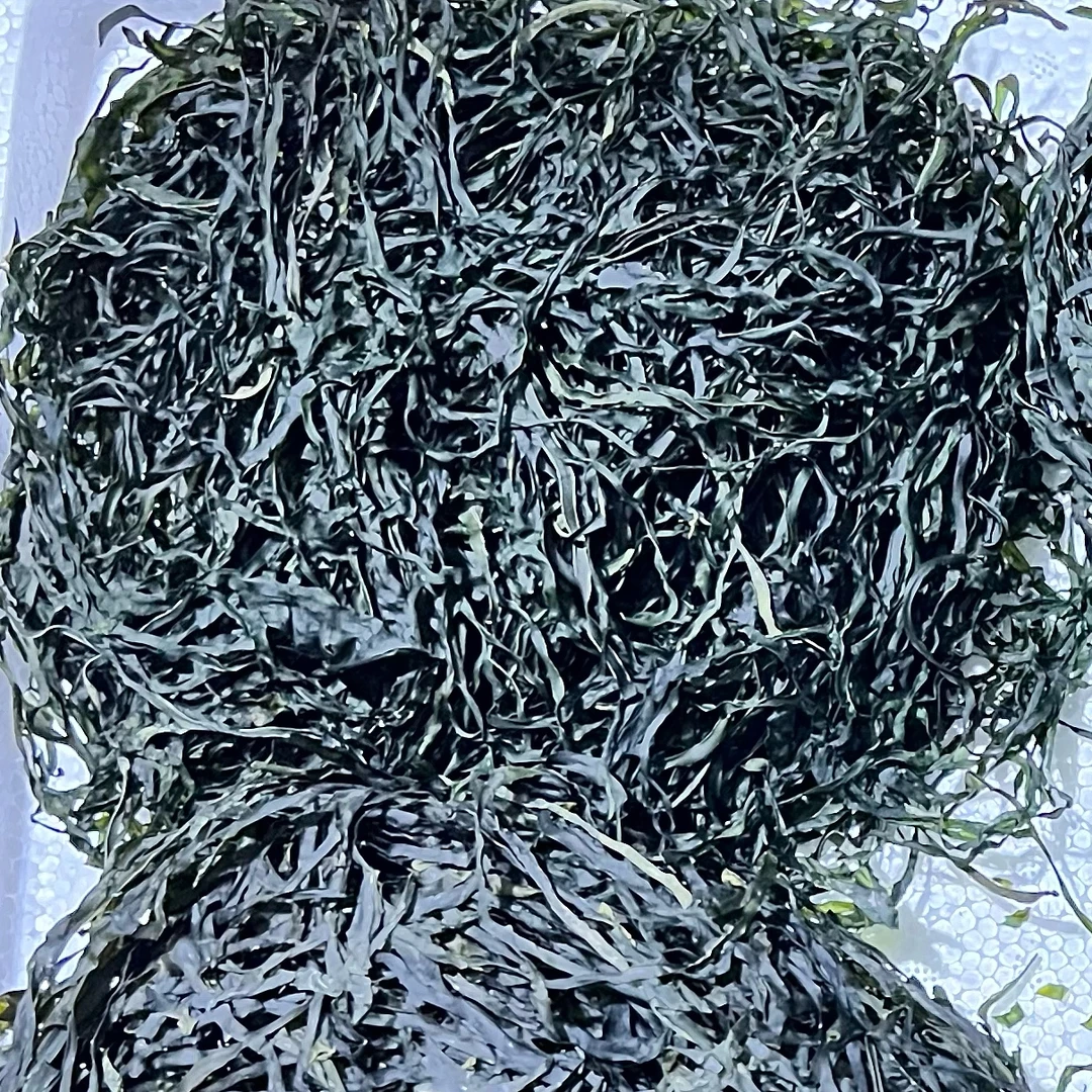 福建特产美味鲜美的海带丝干净含量500g/袋