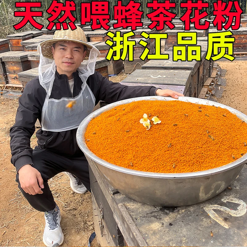 喂蜂茶花粉浙江安吉茶花粉新鲜茶花粉天然蜂花粉农家自产茶叶花粉
