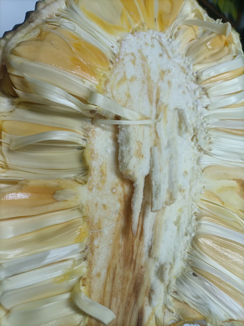 现剥菠萝蜜果肉一盒300克左右