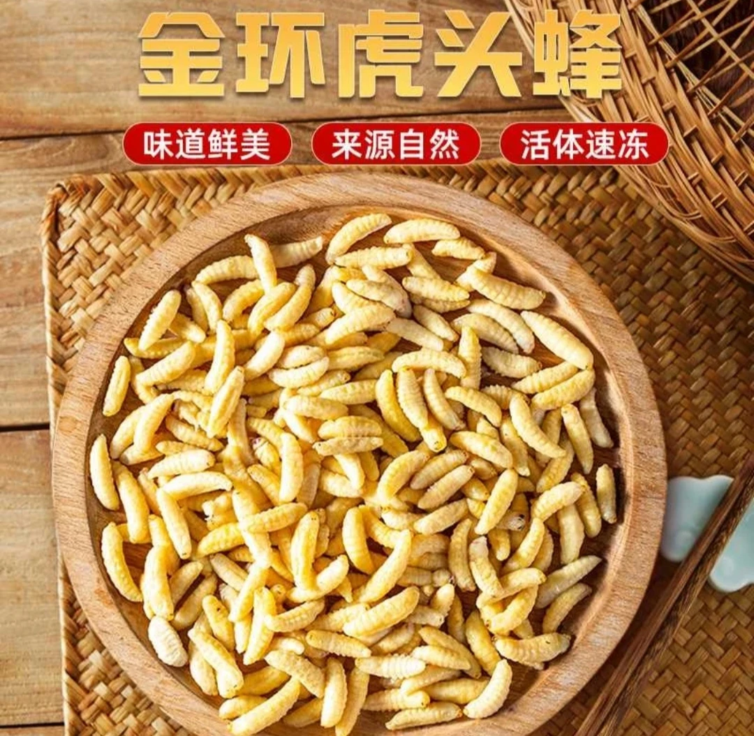 2024野生一级大虫蜂蛹新鲜速冻马蜂蜂蛹食用
