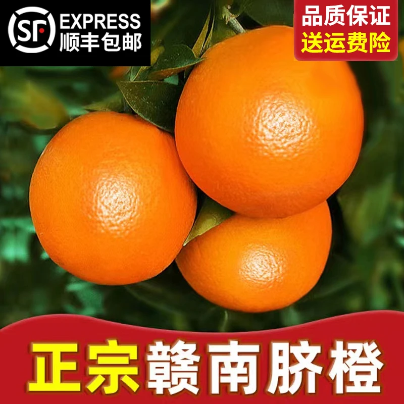 【10斤带箱精品中大果】赣南脐橙，果园现摘现发