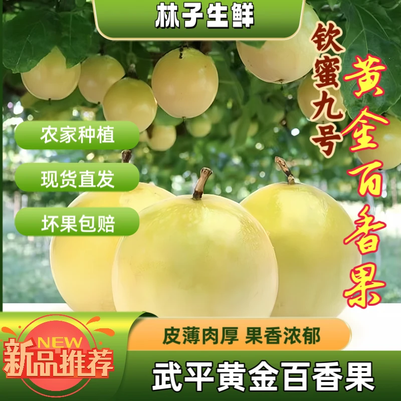 【林子生鲜】福建武平钦蜜9号黄金百香果农家种植新鲜采摘纯甜无酸