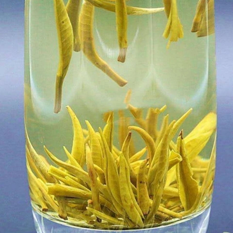 广西横县浓香型茉莉花茶2025新茶特级毛尖袋装散装白毫小银针窨制