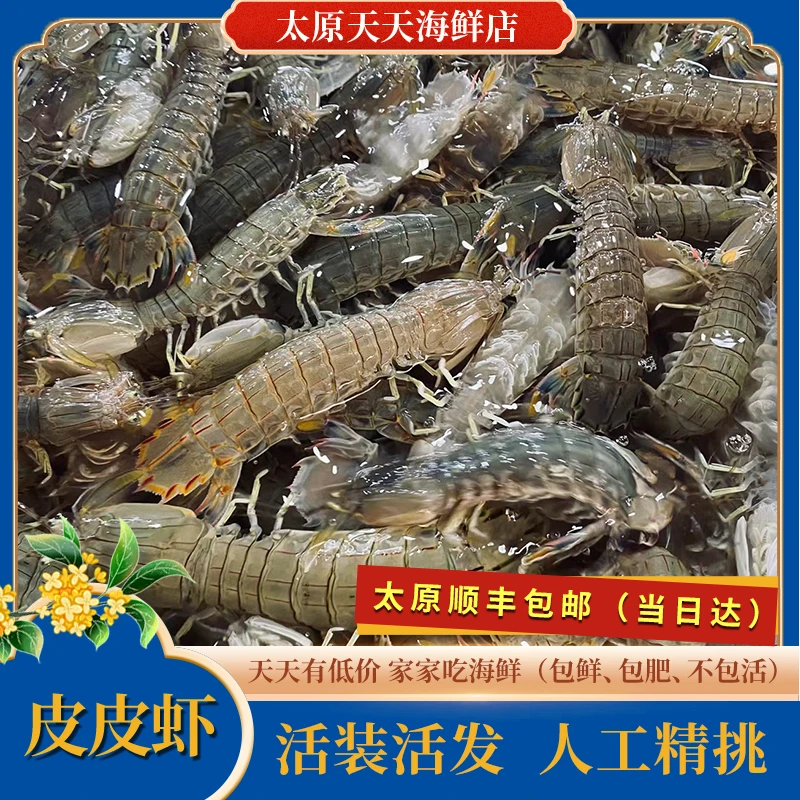 『必囤福利』- 鲜活皮皮虾