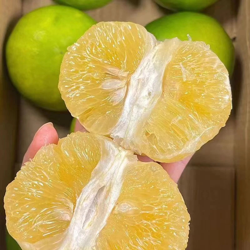 【顺丰快递】福建正宗翡翠青柚 葡萄柚子  新鲜水果8斤精选礼盒装