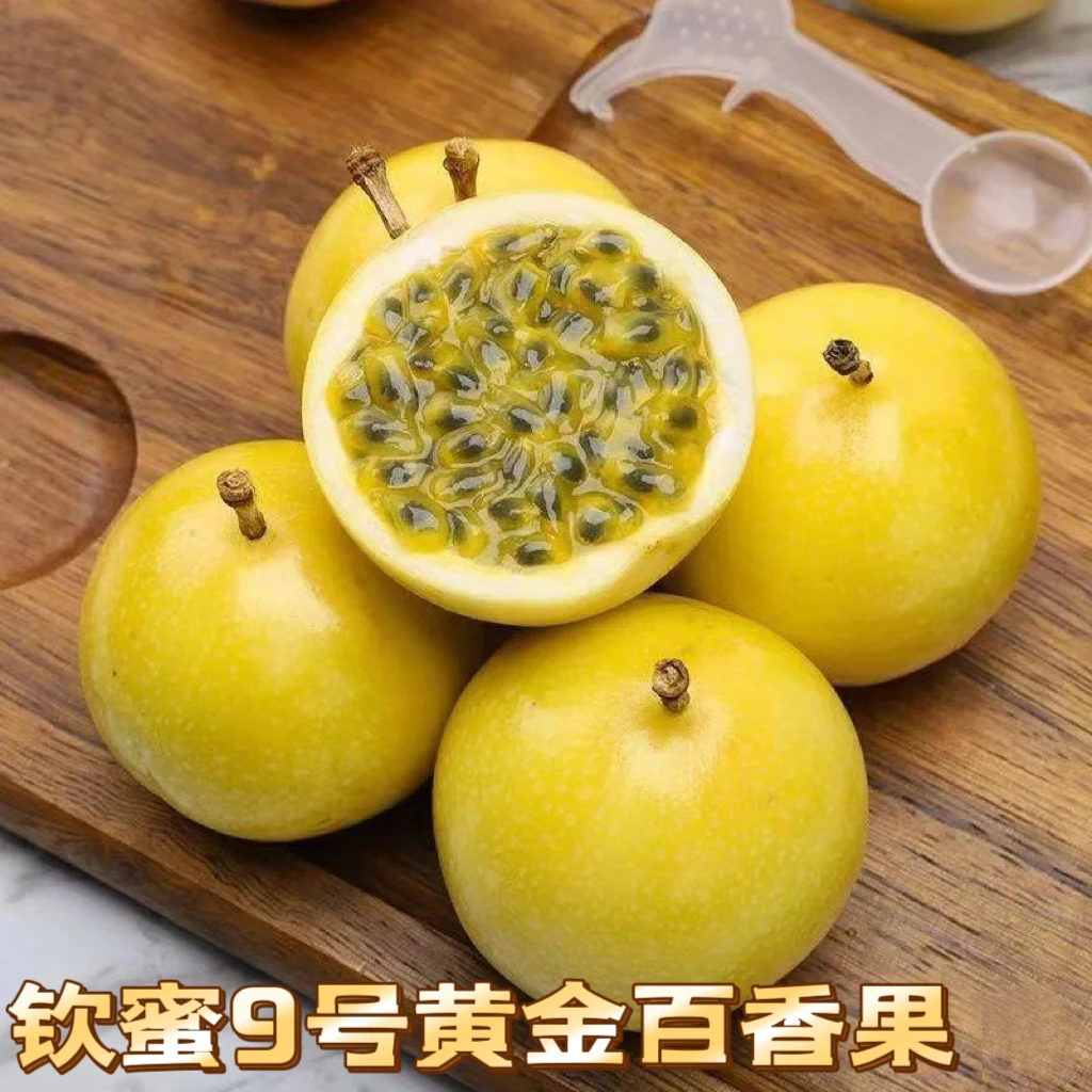 （京东包邮）钦蜜9号黄金百香果礼品果特大果爆甜新鲜孕妇水果当季