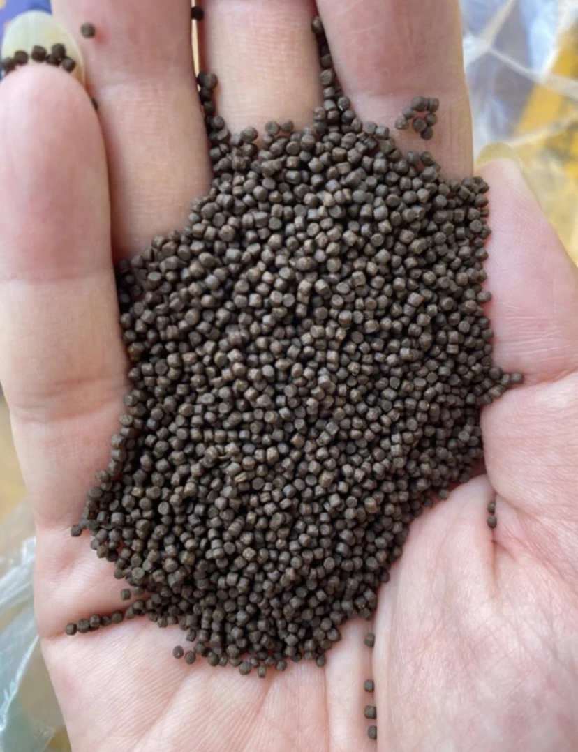 兰寿金鱼小型鱼通用下沉饲料45%~48%500克夏天混养喂食发货混养
