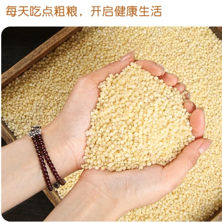 【新米白高粱米】新货煮粥煮饭粗粮东北笨高粱米五斤装