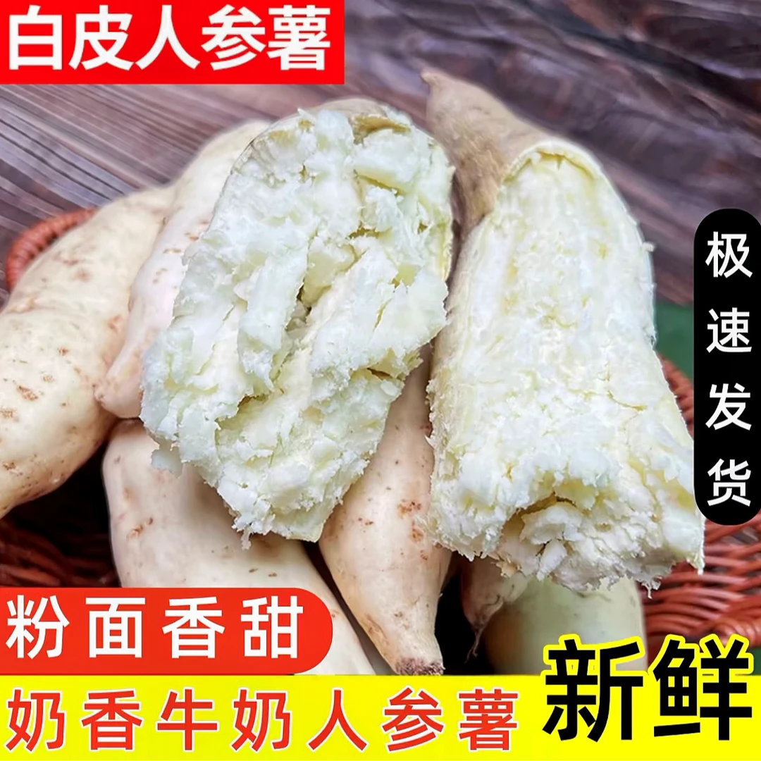 【牛奶人参薯】香甜粉糯新鲜现挖现发 板栗薯香甜地瓜鸡蛋薯粉糯