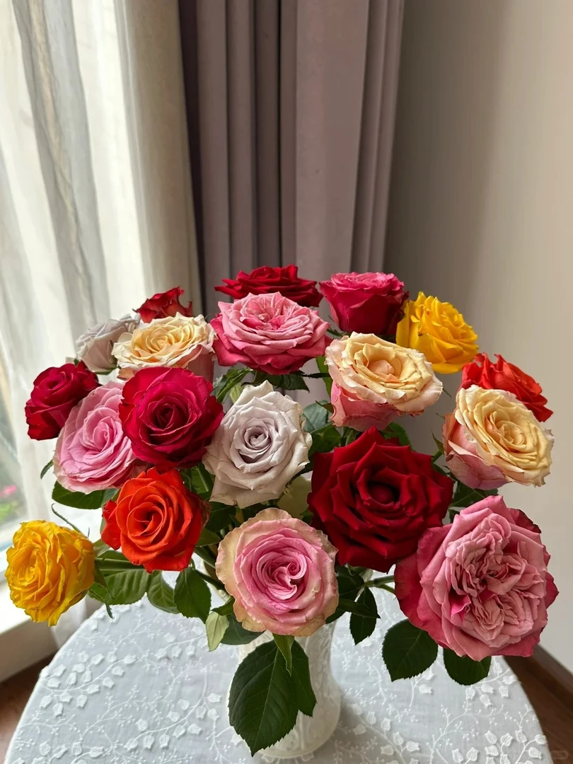 【玫瑰】云南源头直发