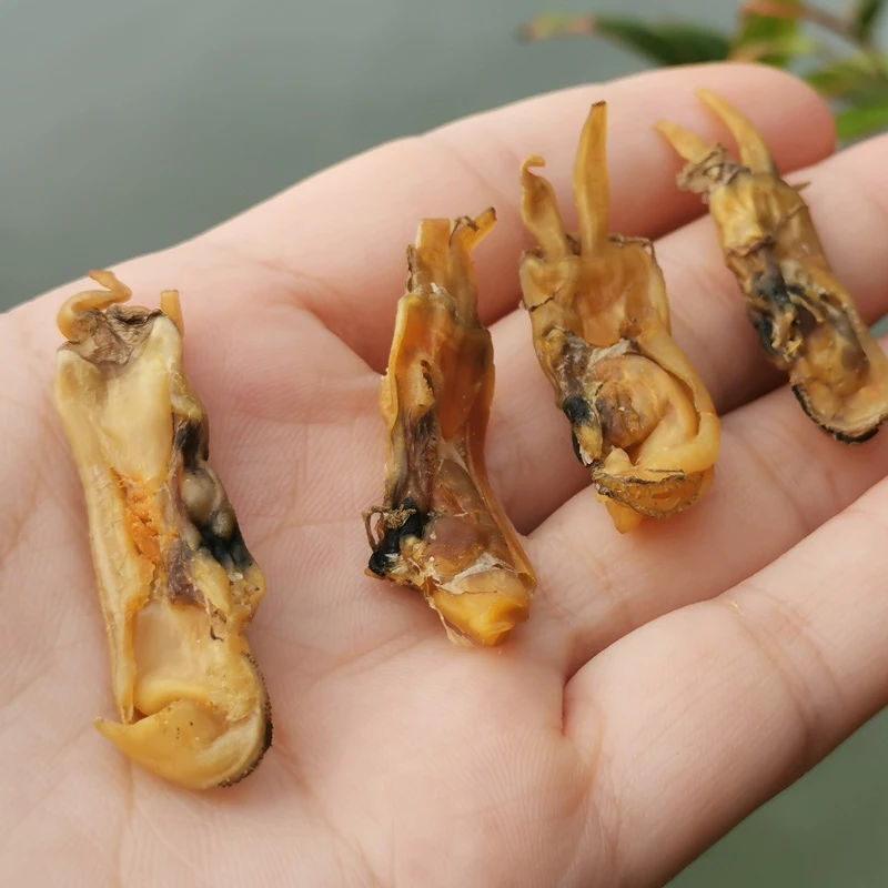 福建特产阿宝家自晒的海蛏干  1斤包邮