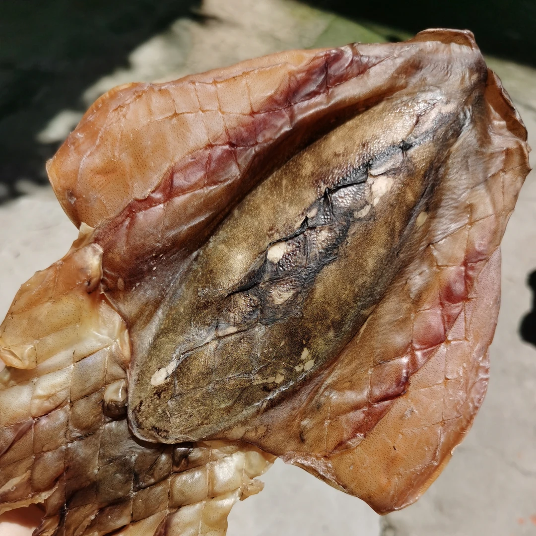 渔客来东山岛渔民自晒目鱼干月子女生补身子无盐墨鱼干