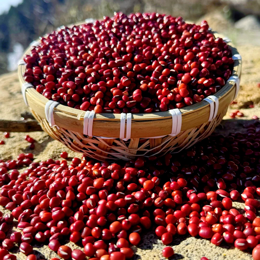 农家红小豆颗粒饱满煲汤煮粥易出沙五谷杂粮红豆包粽子红豆