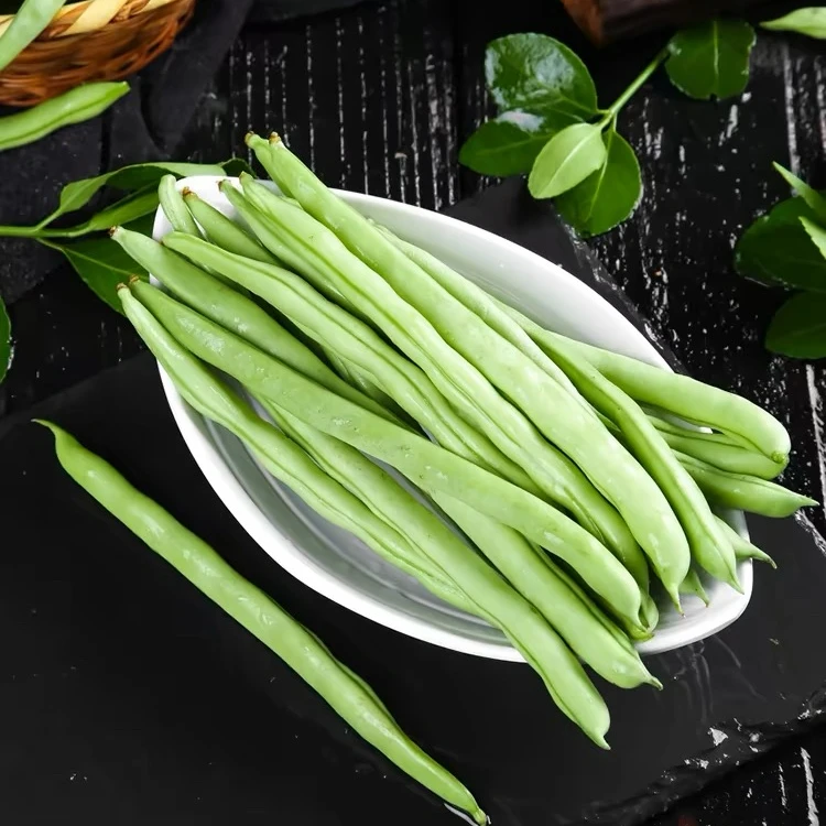 【现摘现发】云南高山露天当季新鲜四季豆应季蔬菜现采现发批发包邮