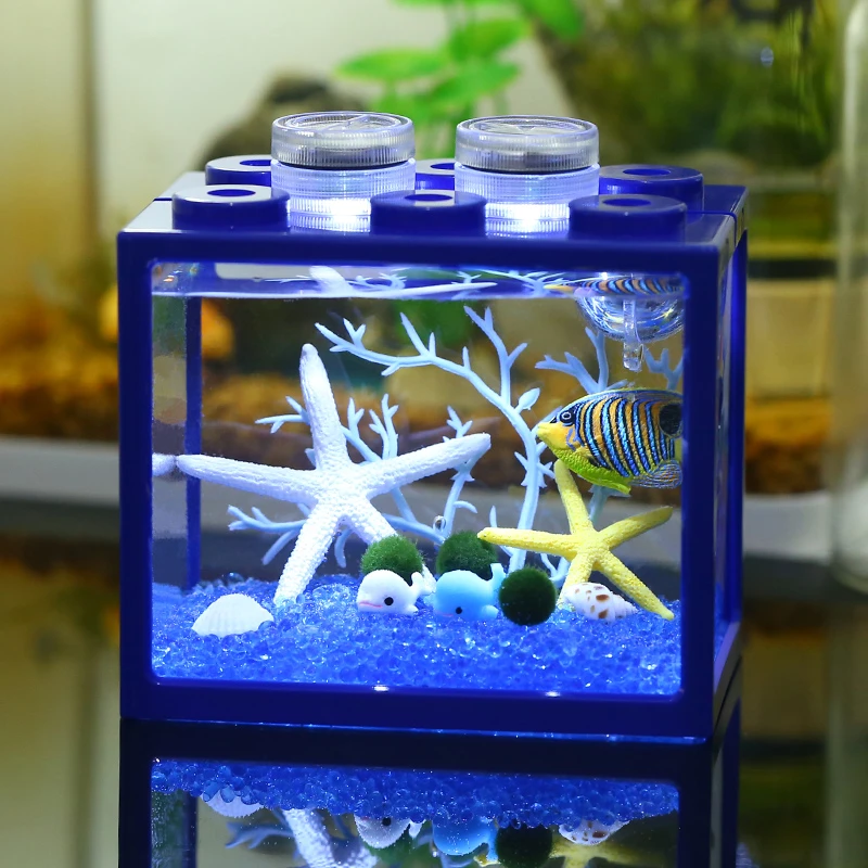 海藻球生态瓶桌面微景观迷你绿植盆栽创意礼物diy造景植物水藻球