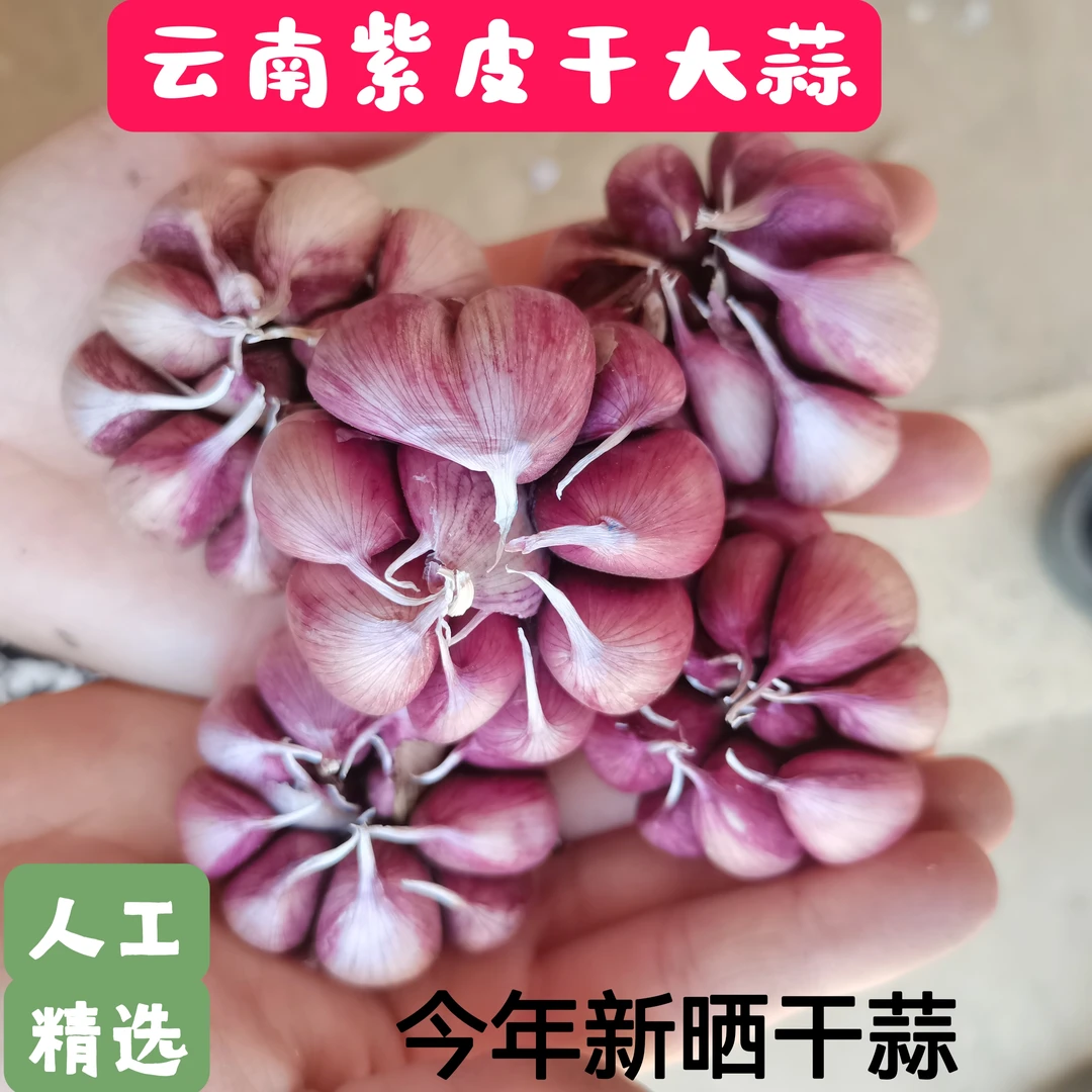 云南正宗紫皮多瓣大蒜农家自选新干蒜香辣味十足