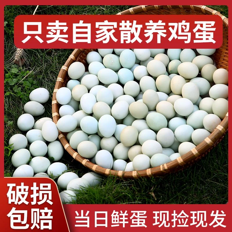 【农场补贴】散养新鲜绿壳鸡蛋10枚林间散养乌鸡蛋 40g/枚