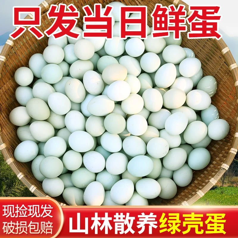 【破损包赔】30枚散养绿壳土鸡蛋农家新鲜乌鸡蛋 44g以下