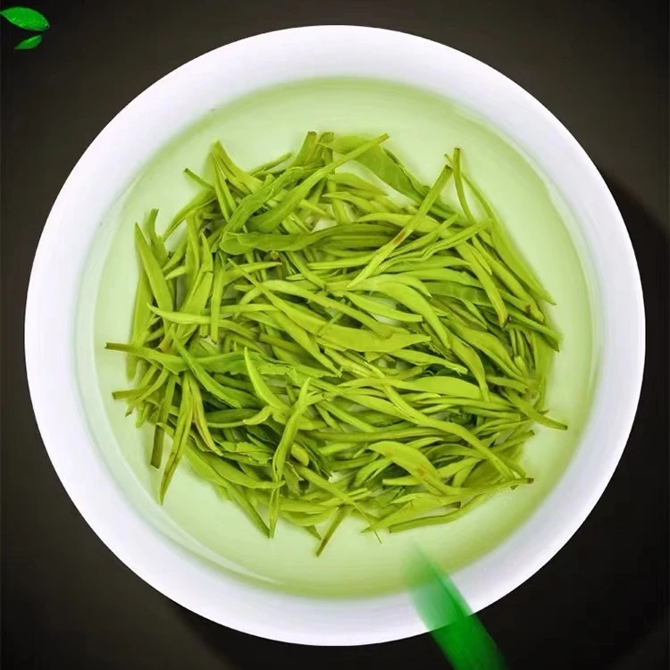 崂山绿茶250g小包装高山云雾春茶浓香型绿茶2023新茶