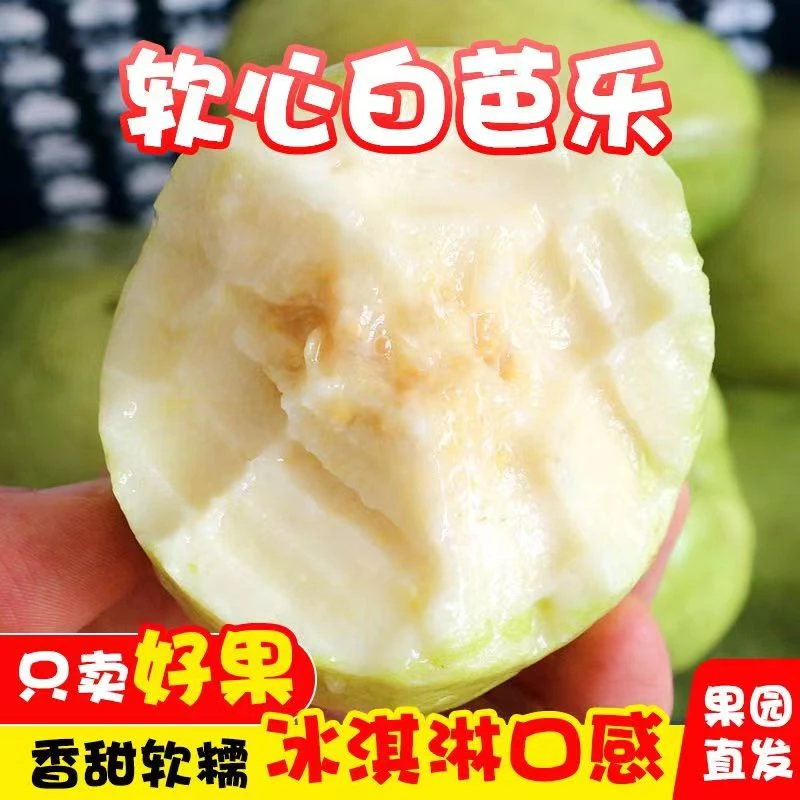 【软香甜】广西白心奶油芭乐番石榴软心鸡屎果软糯现摘新鲜低糖水果