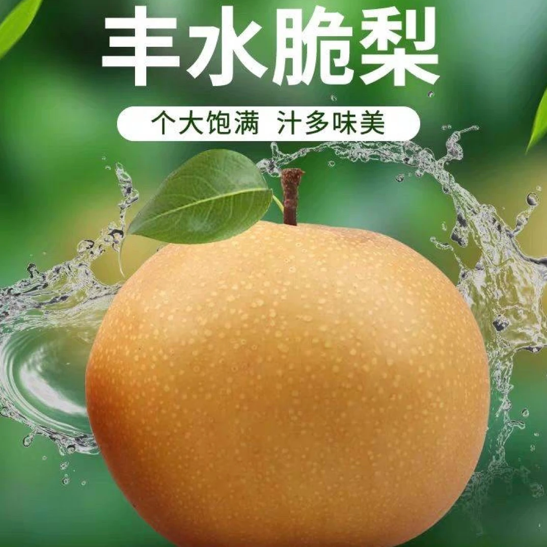 【婷姐好物】丰水梨丑梨皮薄多汁脆甜无酸净重5斤9斤