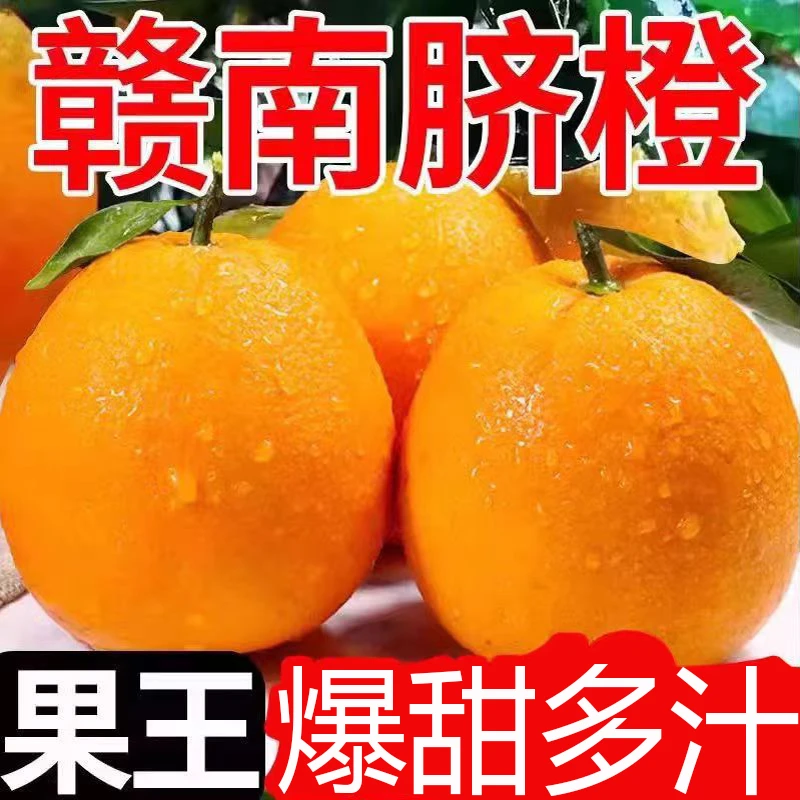 脐橙纽荷尔伦晚春橙新鲜水果橙子多汁大果赣南脐橙榨汁阳光饱满