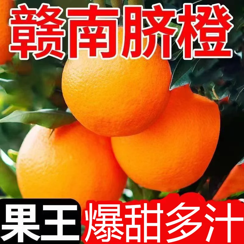 赣南脐橙当季采摘脐橙味充足现摘现发皮薄香甜细腻多汁整箱