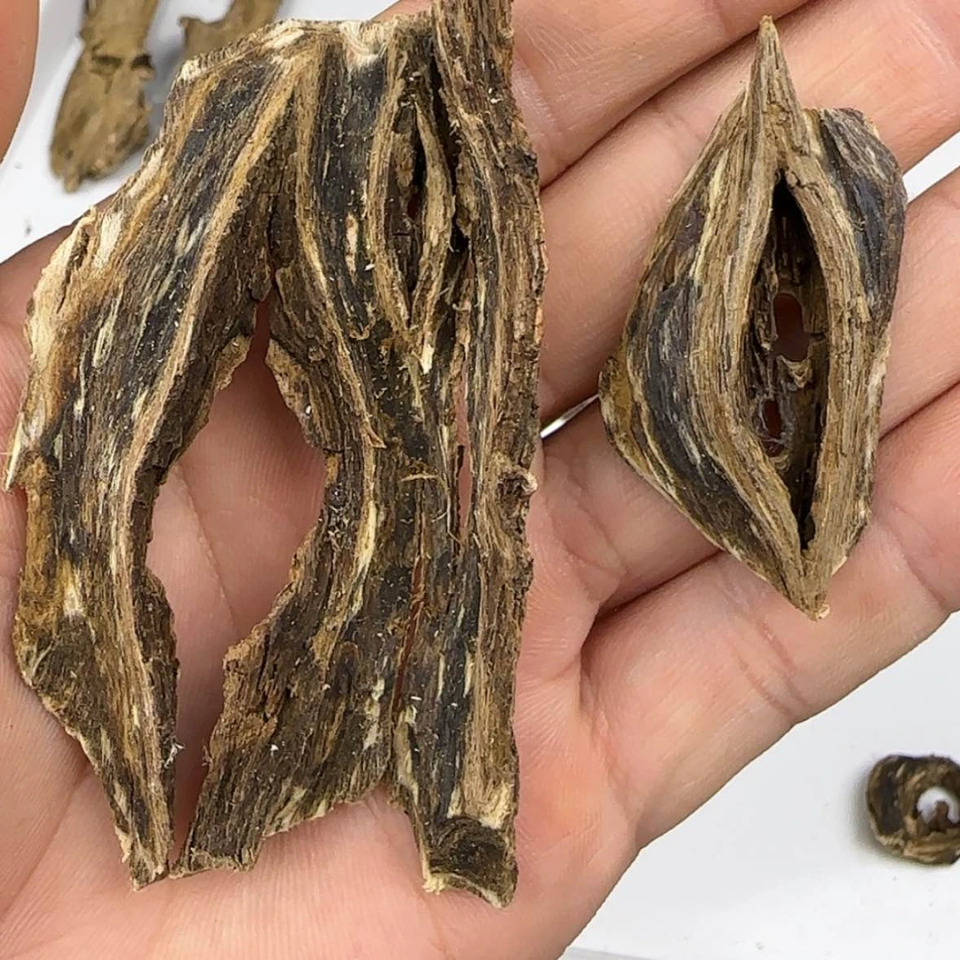 【闪购商品】一*皮油9.8g