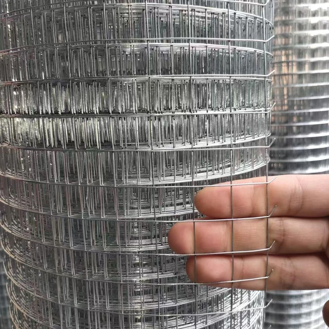 镀锌铁丝网护网小孔50防鼠防蛇网