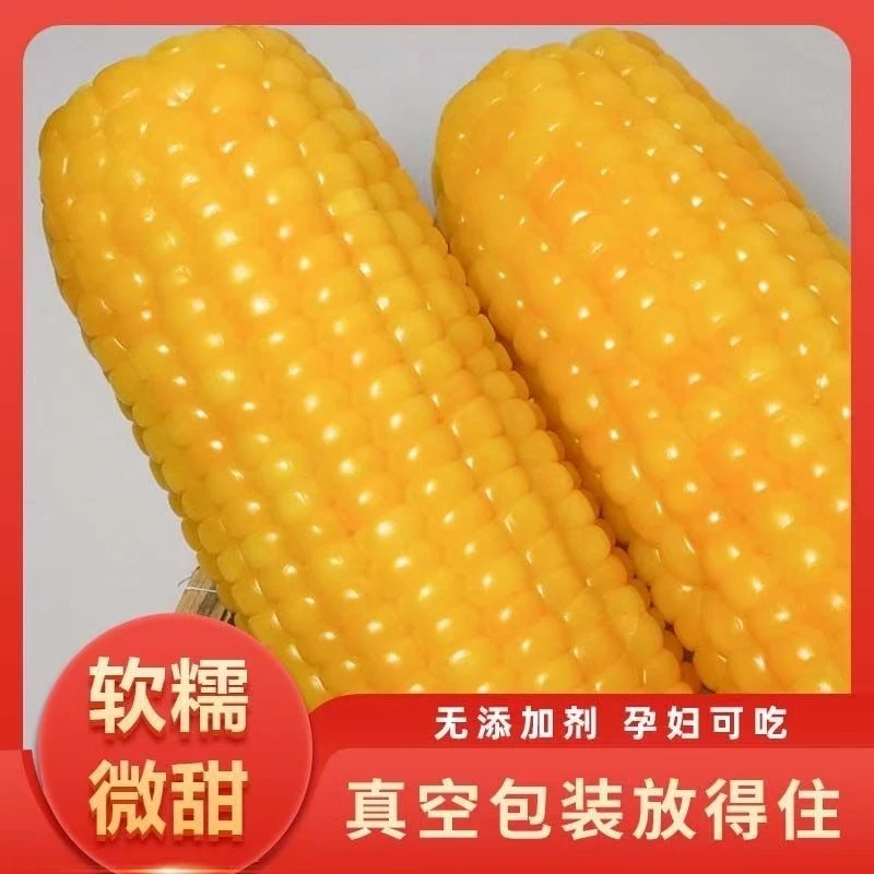 保6.5斤以上8+2棒试吃东北黄糯玉米黄玉米290g-340g品质无可挑剔
