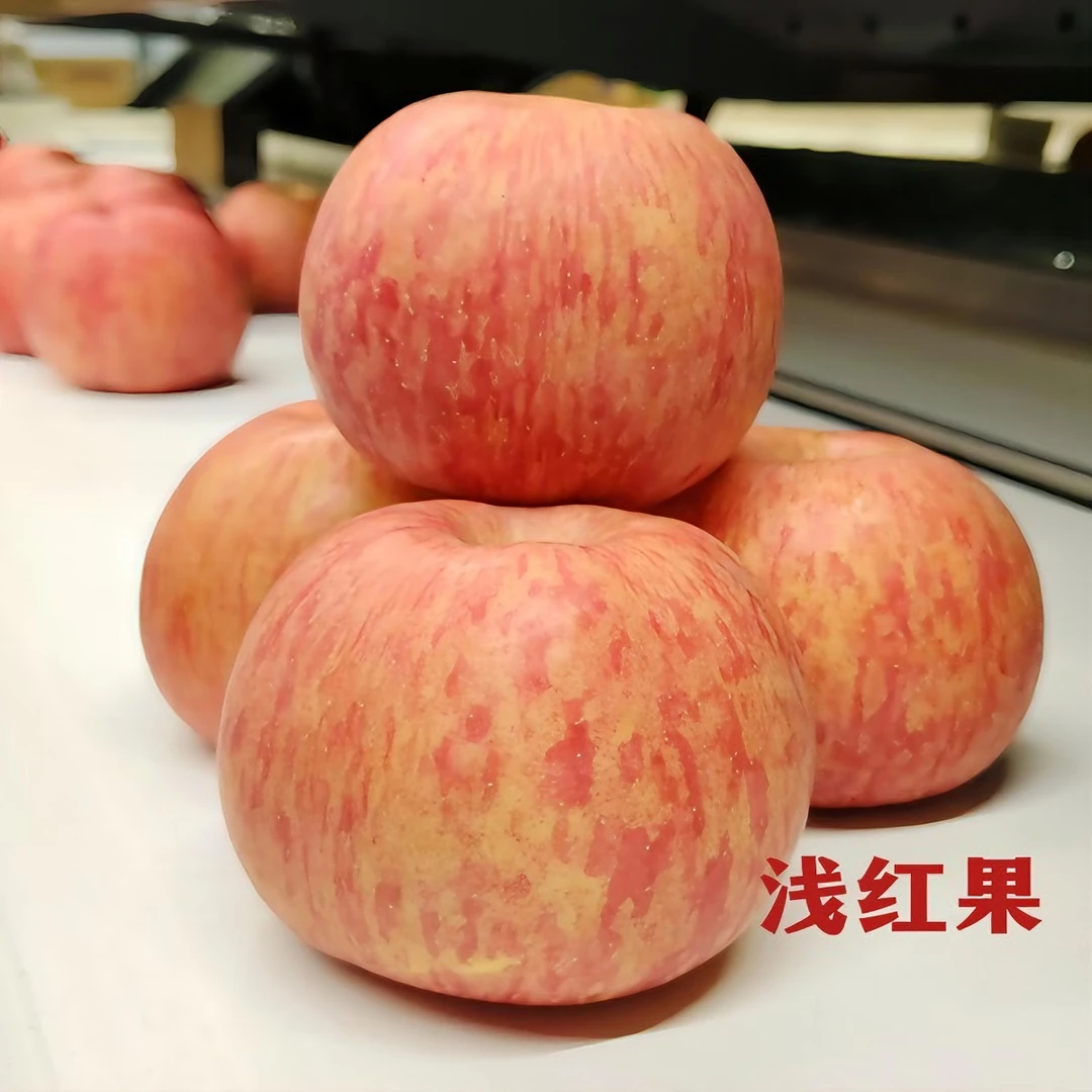 延美【条纹果】1正宗陕西洛川红富士苹果净重4.2-8.5斤生鲜水果