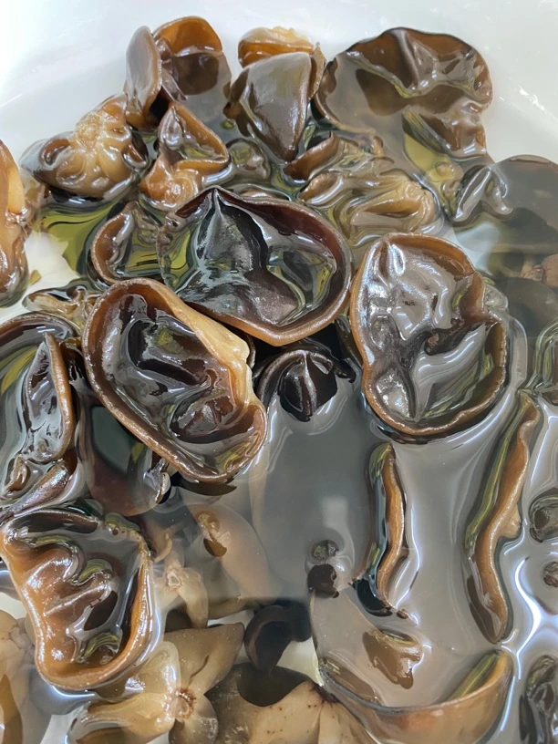 新货东北特产秋木耳肉厚无根干货小碗耳2023头茬