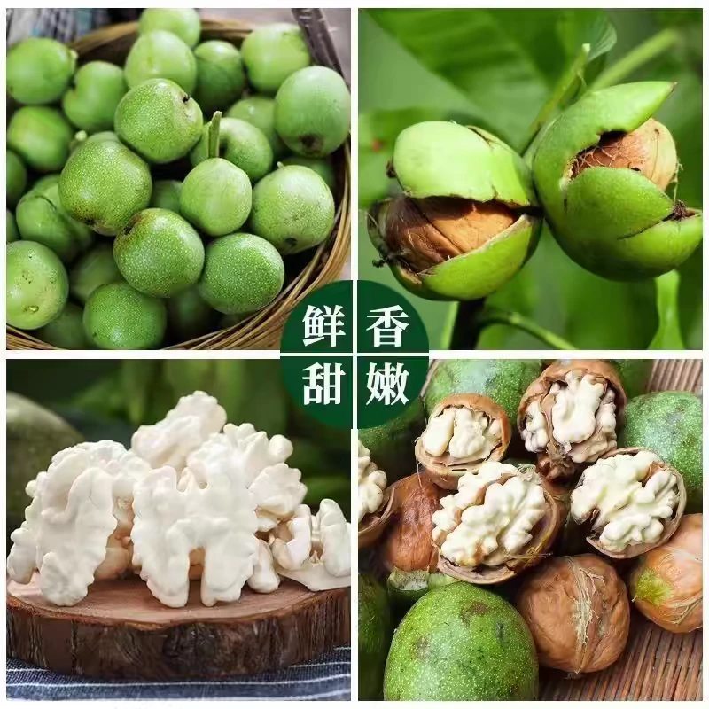 〈老树）特级大凉山新鲜核桃香甜整箱批发