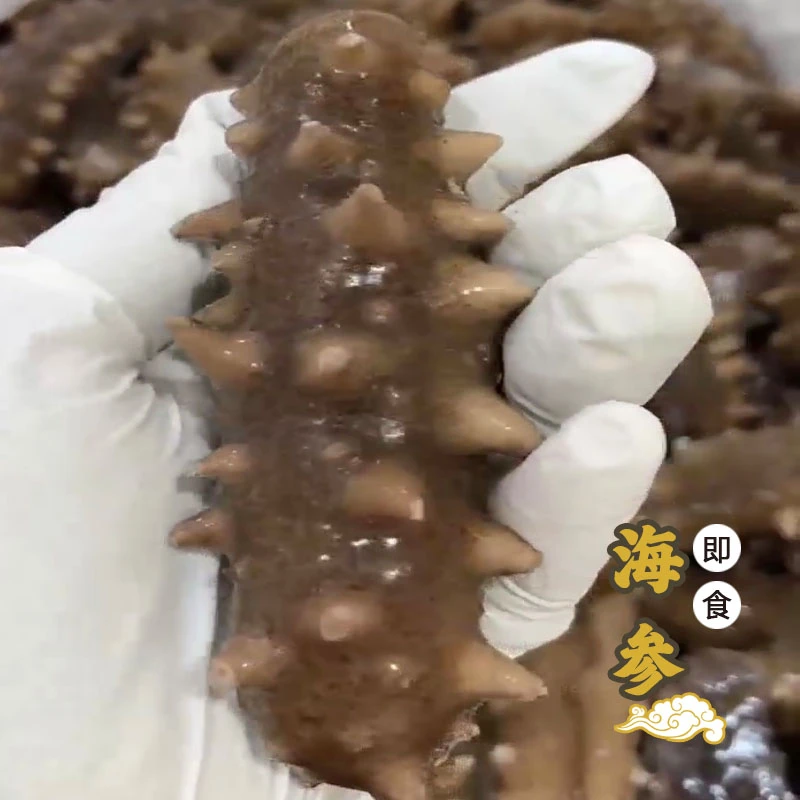 【山人无用】即食特惠海参礼盒2斤装劲道特惠肉质Q弹