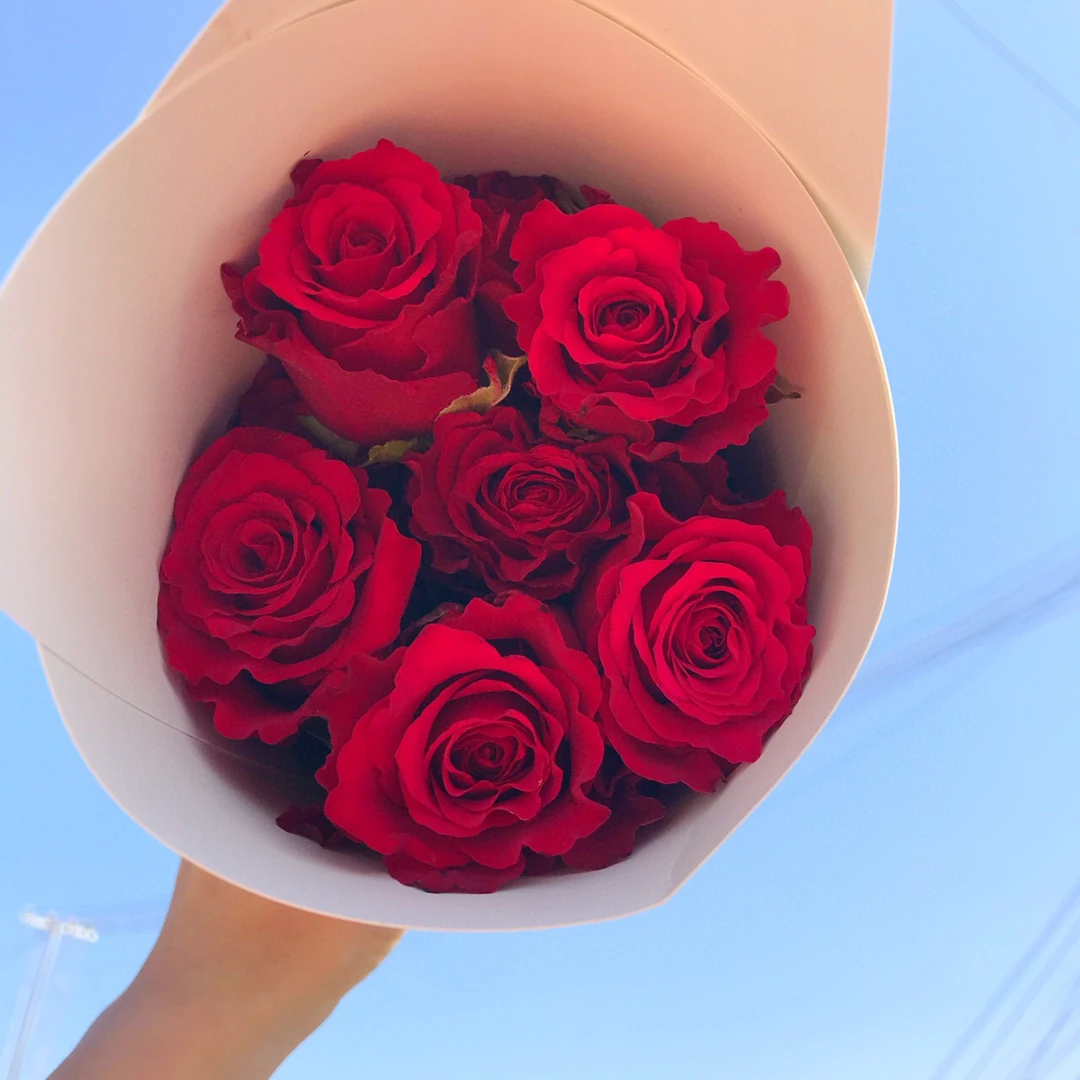 C级红色系玫瑰10支     云南基地鲜花直发   家养水养