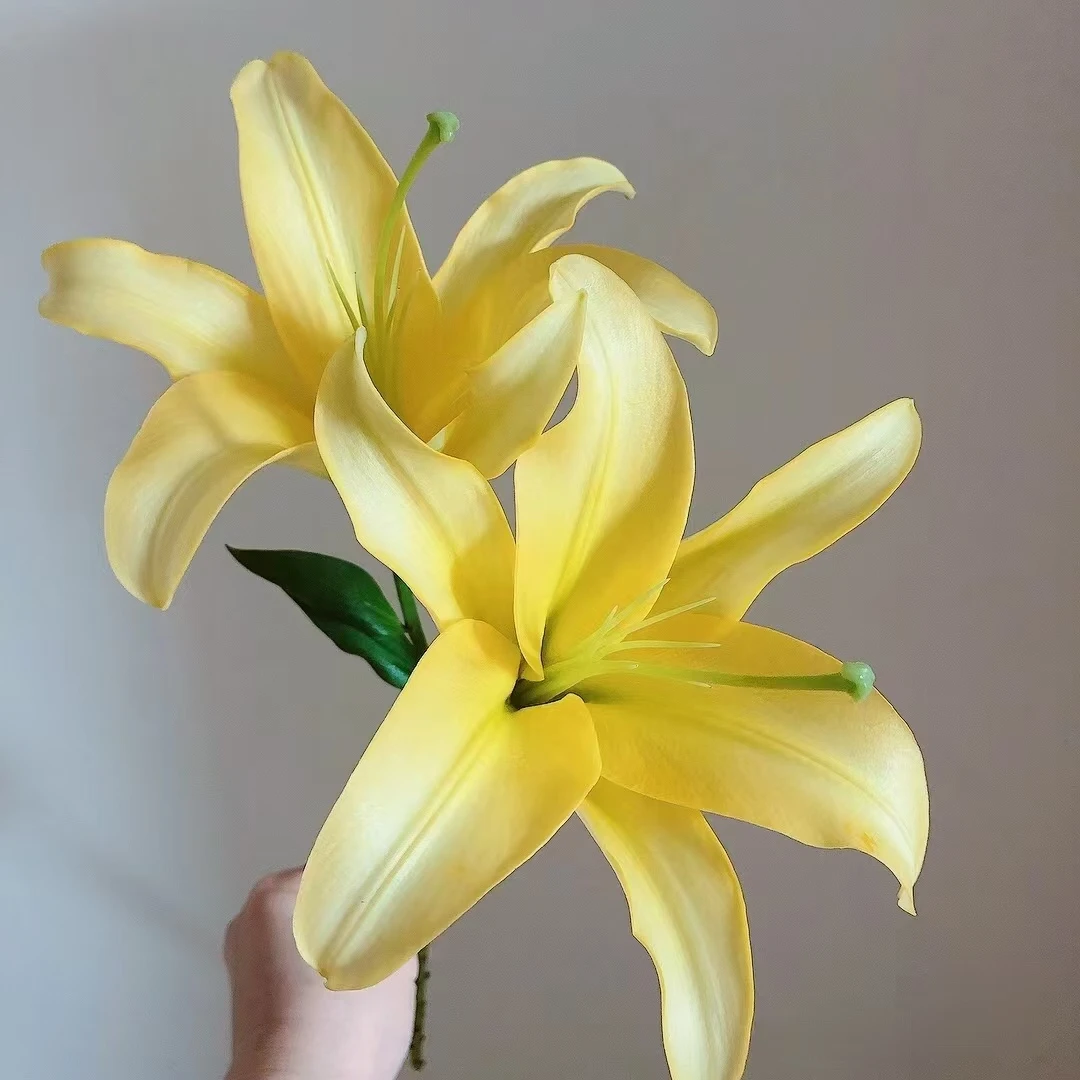 黄蜂百合3支（8到9朵）    基地鲜花  养护叶子
